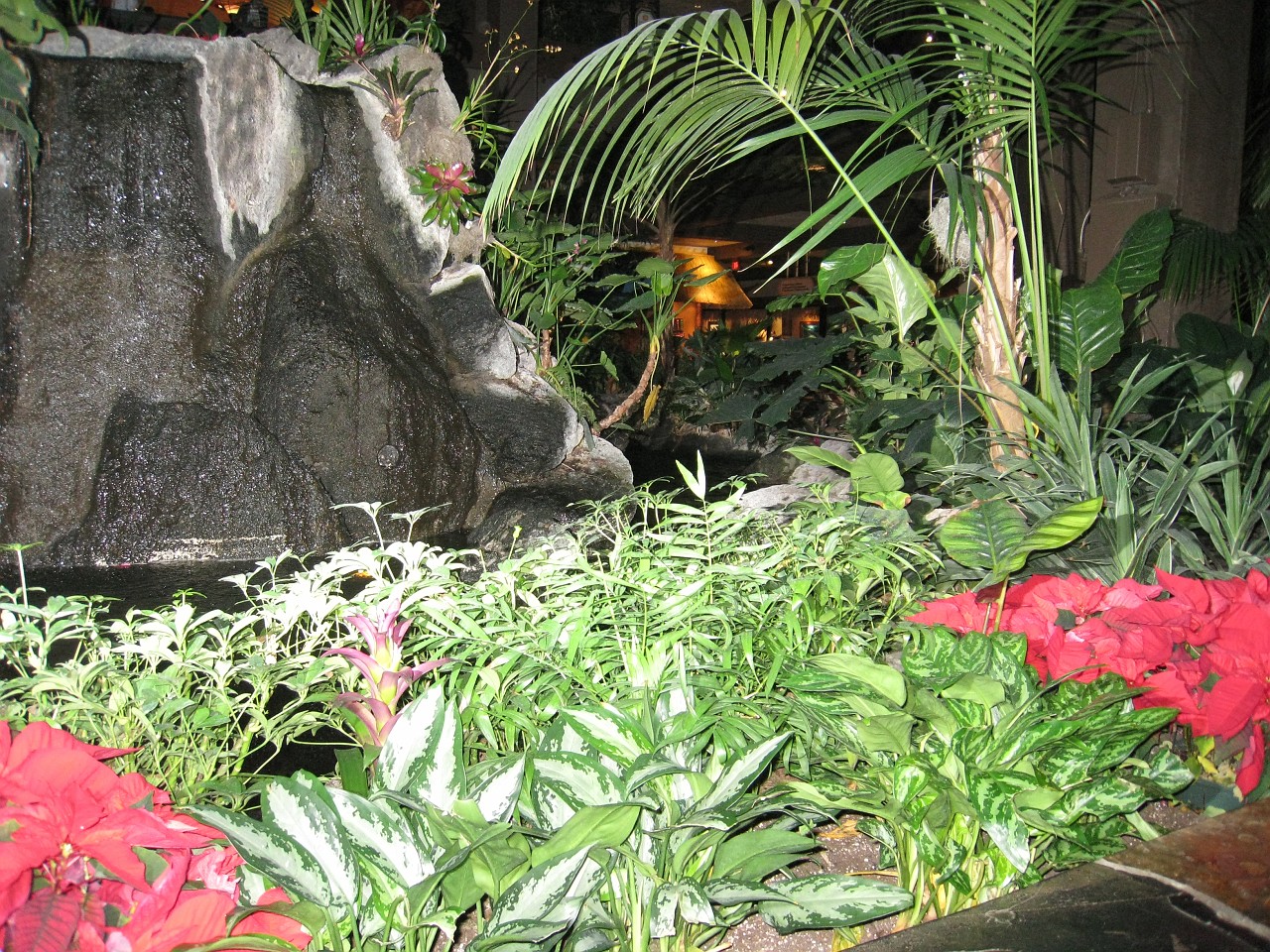 Vacation 2007-12 - Disney Parks  0358.jpg - The 2007-08 vacation to Florida included Disney World. We visited some of the larger theme Resorts along with Animal Kingdom and Disney Hollywood Studios.